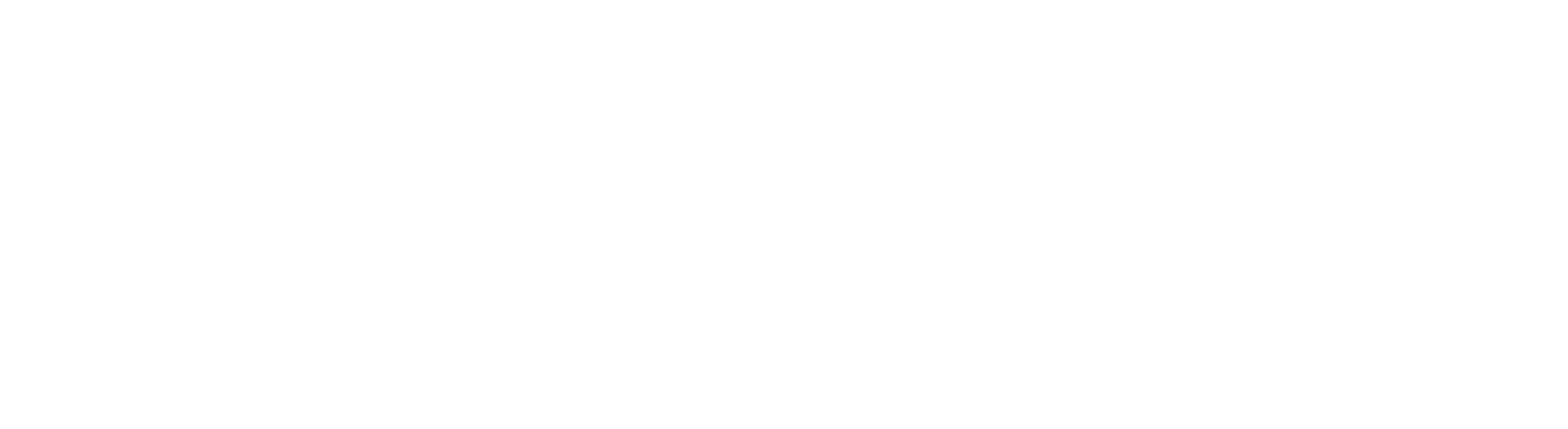 Shopiyz Logo